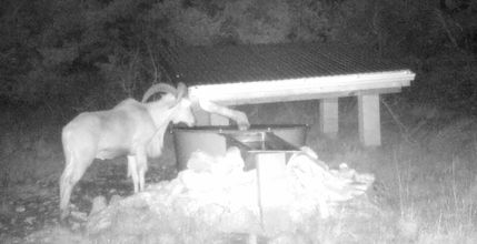 Farm and Ranch in Edwards County, Texas