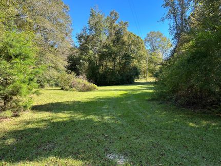 Timberland Property in Pike County, Mississippi