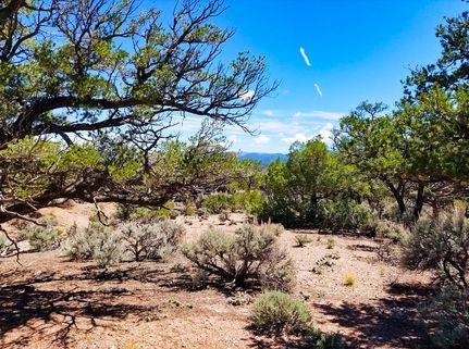 Farm and Ranch in Costilla County, Colorado