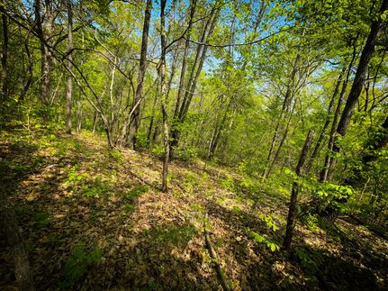 Lakefront Property in Benton County, Missouri