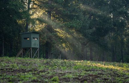 Land in Baldwin County, Alabama