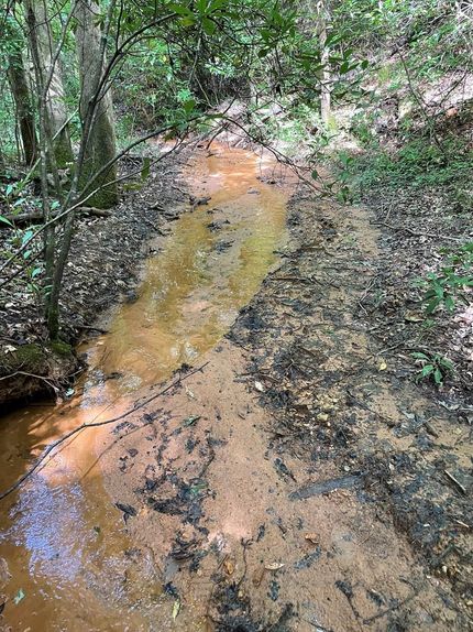 Recreational Property in Crenshaw County, Alabama