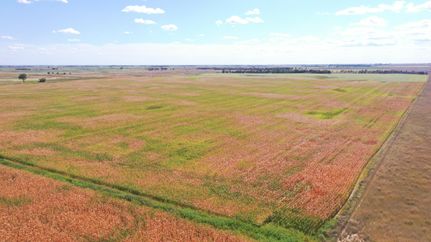 Land in Beadle County, South Dakota