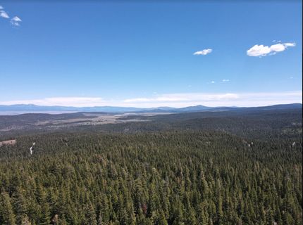 Timberland Property in Modoc County, California