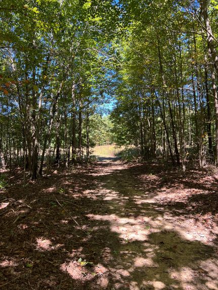 Hunting Property in Jackson County, Alabama