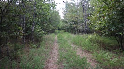 Timberland Property in Pushmataha County, Oklahoma