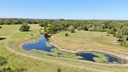 Timberland Property in Milam County, Texas
