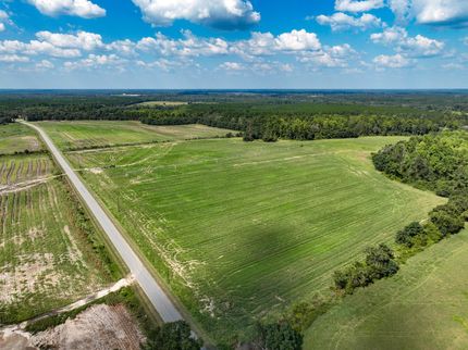 Land in Bacon County, Georgia