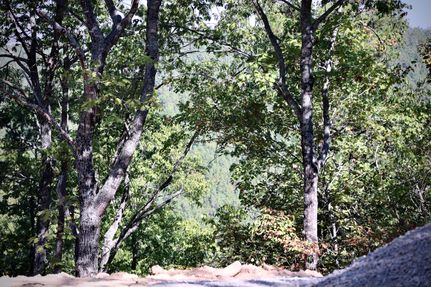 Undeveloped Land in Le Flore County, Oklahoma