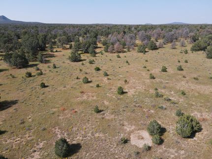 Timberland Property in Cibola County, New Mexico