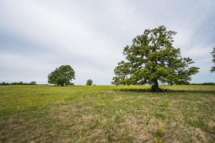 Undeveloped Land in Robertson County, Texas