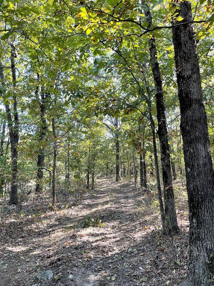 Timberland Property in Delaware County, Oklahoma