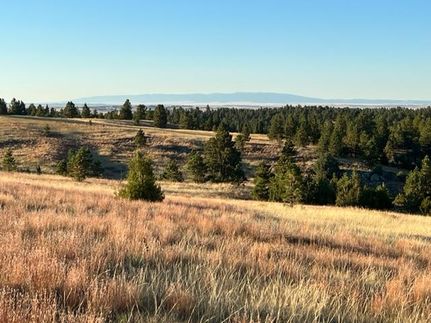 Recreational Property in Golden Valley County, Montana
