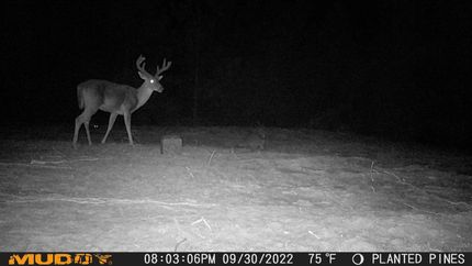 Recreational Property in Washington County, Alabama