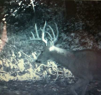 Timberland Property in Sullivan County, Missouri
