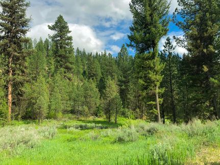Farm and Ranch in Boise County, Idaho