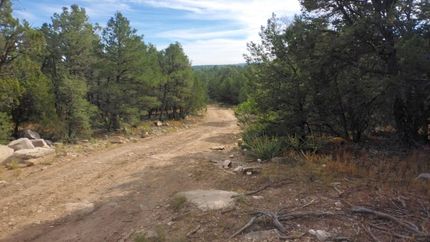 Timberland Property in Torrance County, New Mexico