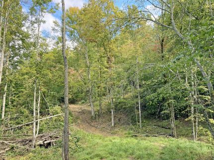 Farm and Ranch in Lincoln County, West Virginia