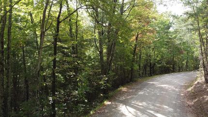 Undeveloped Land in Patrick County, Virginia