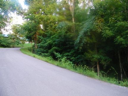 Recreational Property in Washington County, Tennessee