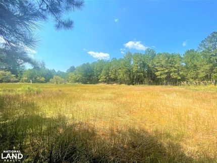Undeveloped Land in Jefferson County, Alabama
