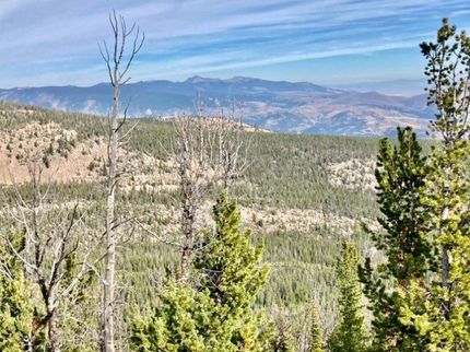 Timberland Property in Deer Lodge County, Montana