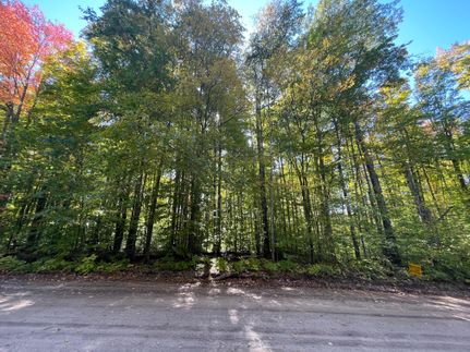 Undeveloped Land in Crawford County, Michigan