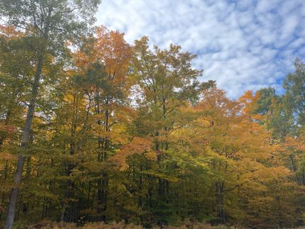 Farm and Ranch in Otsego County, Michigan