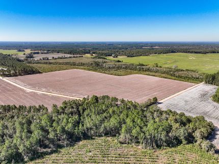 Timberland Property in Jeff Davis County, Georgia
