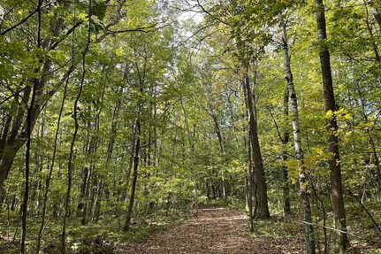 Recreational Property in Polk County, Wisconsin
