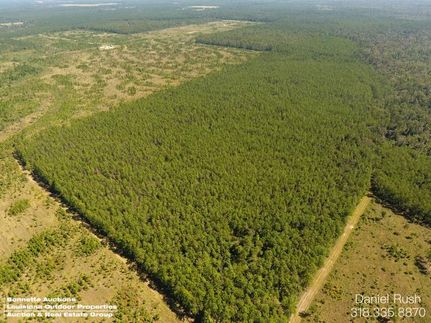 Farm and Ranch in Allen Parish, Louisiana