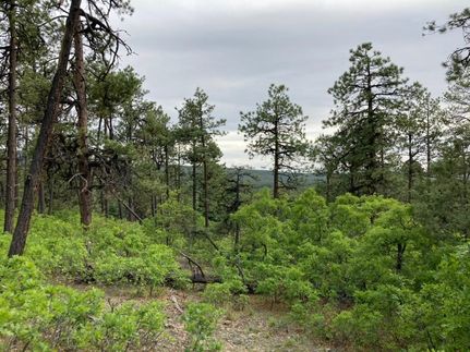 Recreational Property in Rio Arriba County, New Mexico