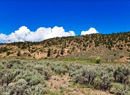 Timberland Property in Costilla County, Colorado