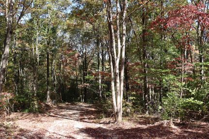 Recreational Property in Greene County, Indiana