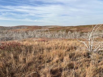 Farm and Ranch in Dewey County, Oklahoma