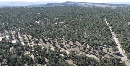Undeveloped Land in Duchesne County, Utah