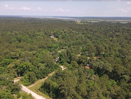 Undeveloped Land in Trinity County, Texas