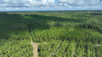 Farm and Ranch in Putnam County, Florida