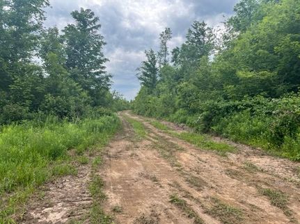 Farm and Ranch in Dickinson County, Michigan