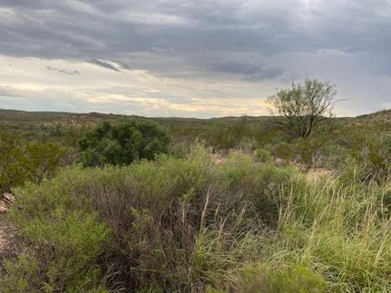 Land in Terrell County, Texas