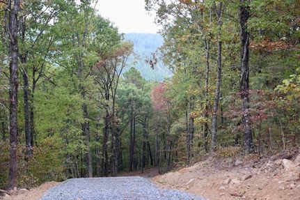 Timberland Property in Le Flore County, Oklahoma
