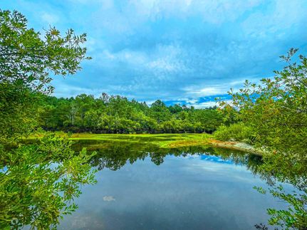 Farm and Ranch in Horry County, South Carolina