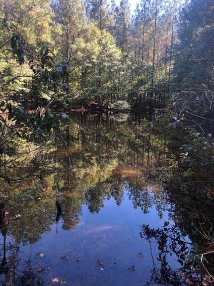 Recreational Property in Choctaw County, Mississippi