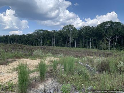 Hunting Property in Simpson County, Mississippi