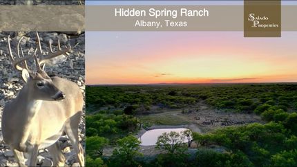 Farm and Ranch in Callahan County, Texas