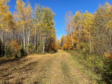 Farm and Ranch in Ashland County, Wisconsin