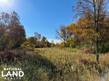Timberland Property in Dakota County, Minnesota