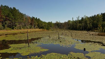 Farm and Ranch in Baldwin County, Alabama