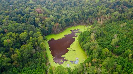 Recreational Property in Baldwin County, Georgia