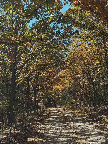 Land in Texas County, Missouri